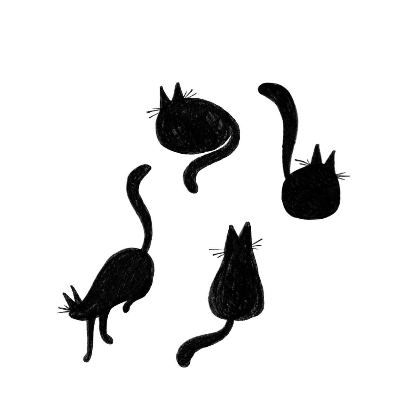 katte illustration link